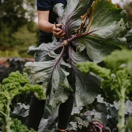 컨트리하우스 Middleton Estate 리치먼드